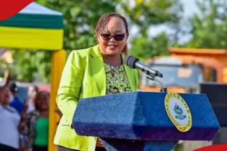 Kirinyaga County Jobs: 131 Vacancies Announced
