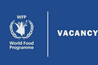 WFP Job Vacancies: 5 Open Positions