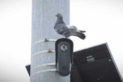 Flock Cameras Privacy Concerns Spark Florida and Texas Bans