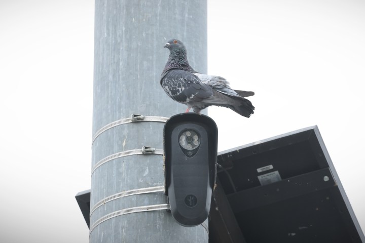 Flock Cameras Privacy Concerns Spark Florida and Texas Bans